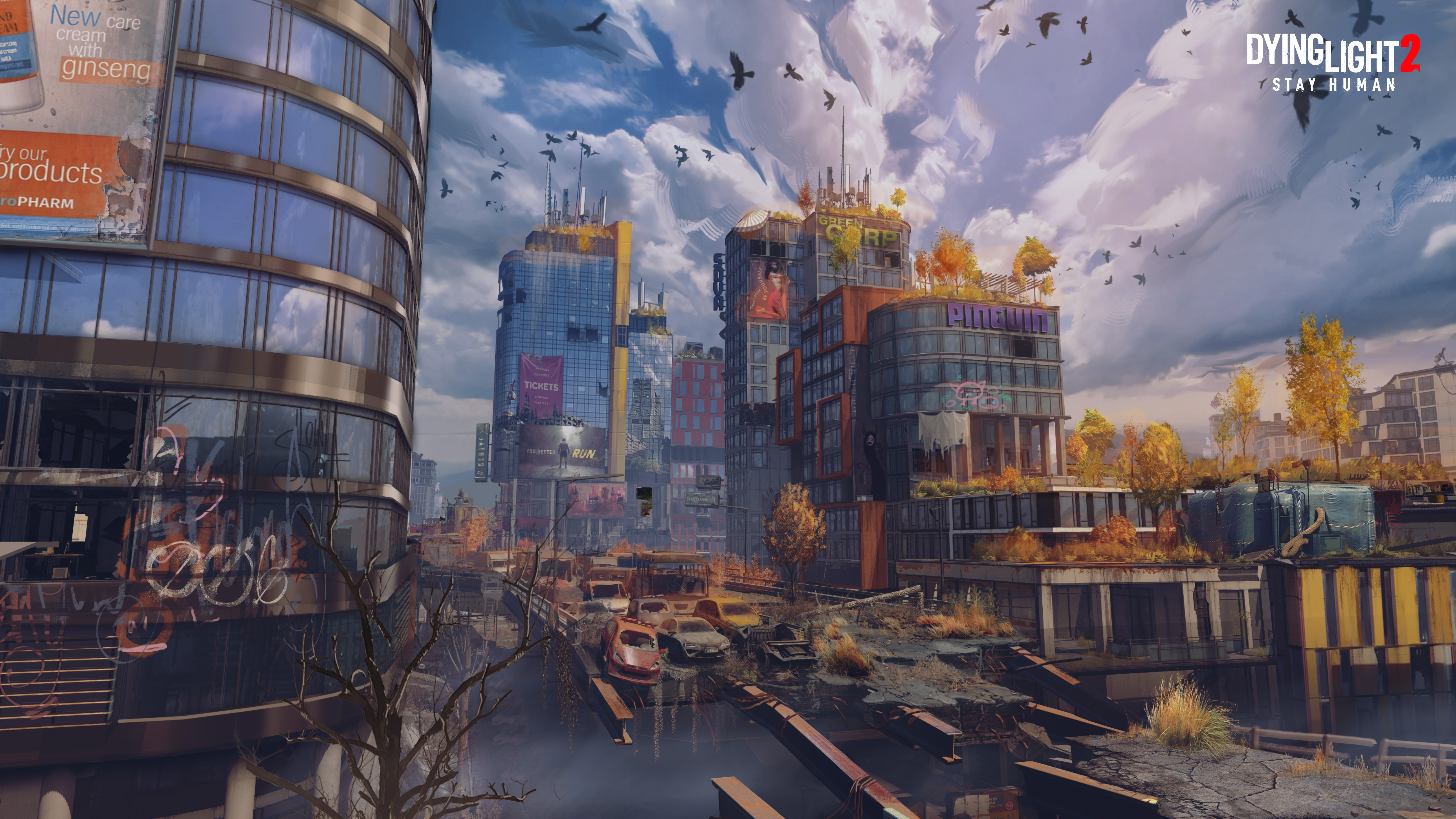 Cover photo
