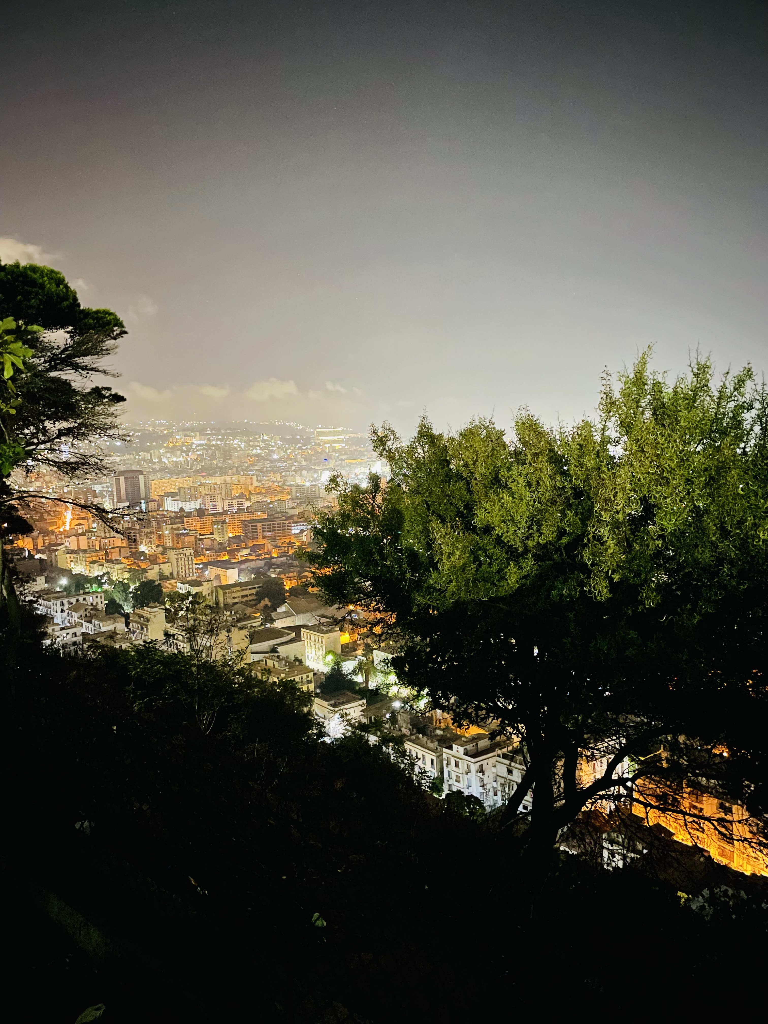 Cover photo